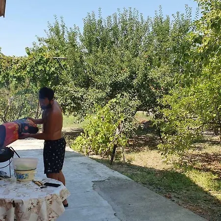 Semesterbostad Zeus Hospitality